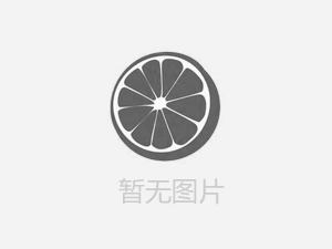 【人人講安全，個個會應(yīng)急——暢通生命通道 】河南鴻宸積極參加安陽市2024年“安全宣傳咨詢?nèi)铡被顒? style=